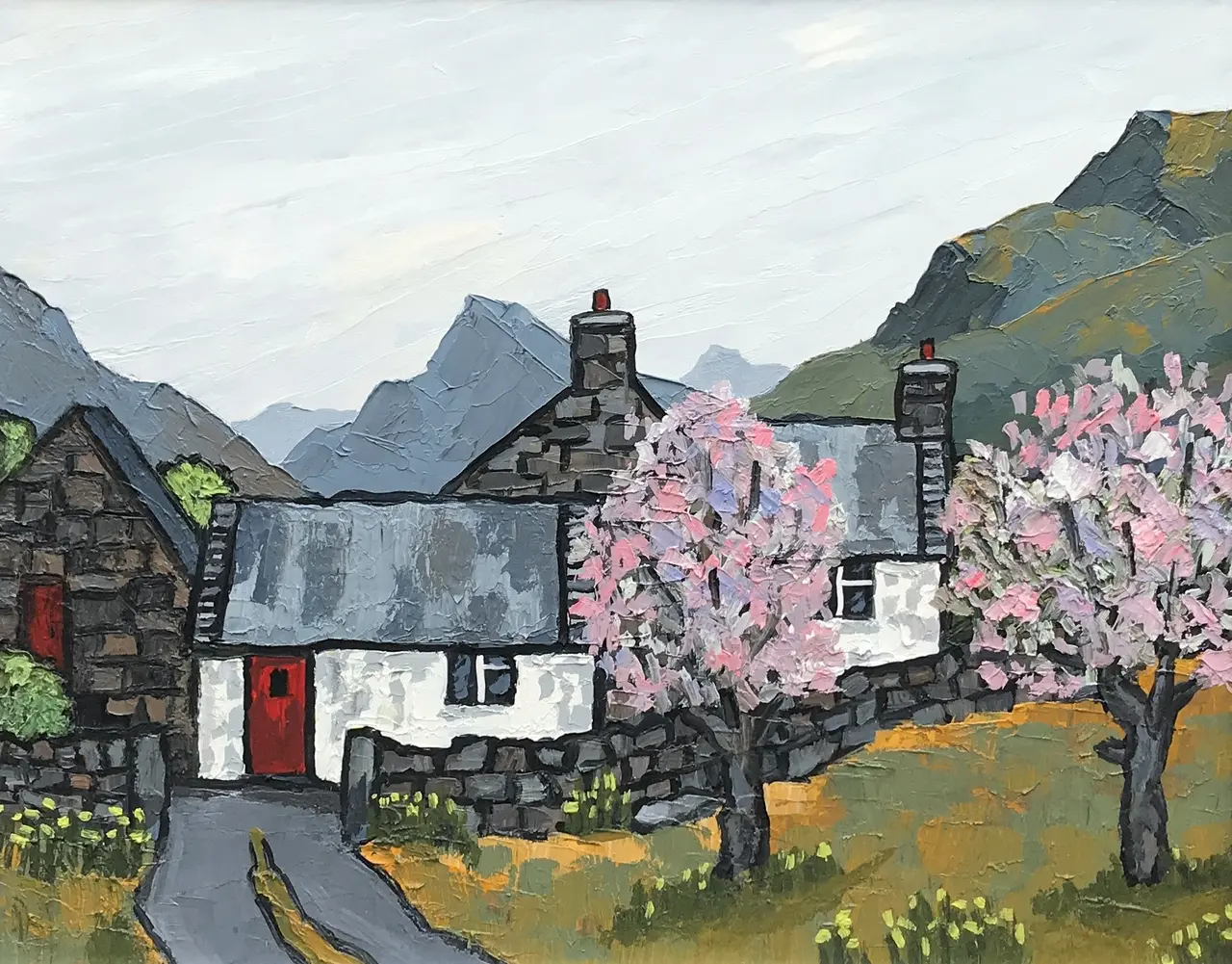 David Barnes - carneddau spring