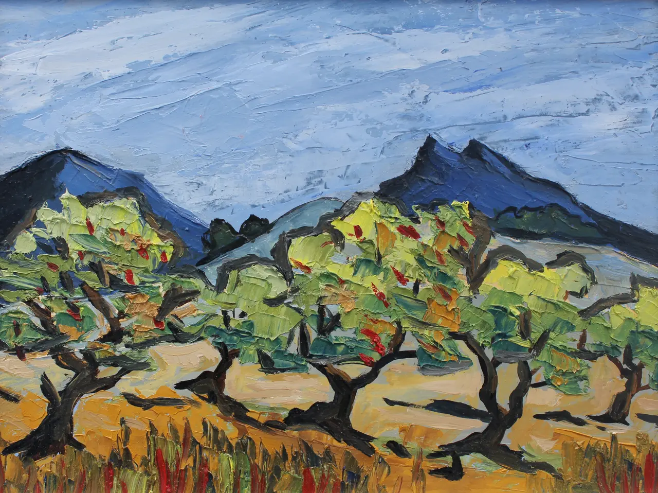 David Barnes - olive trees in tuscany