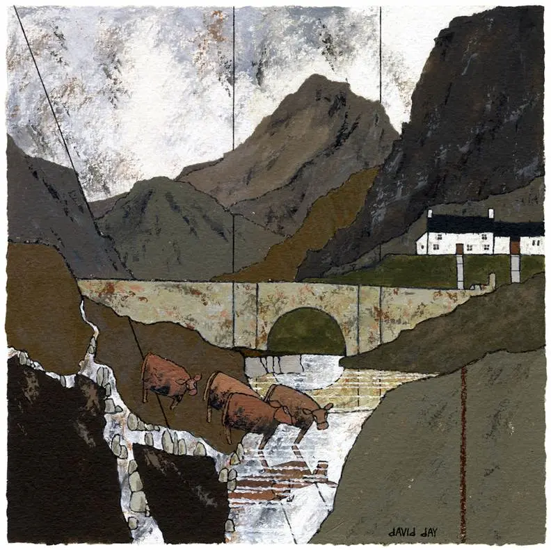 David DAY - snowdonia