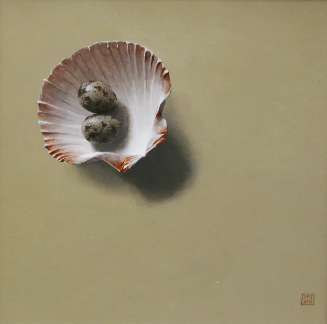 David Gleeson - shells