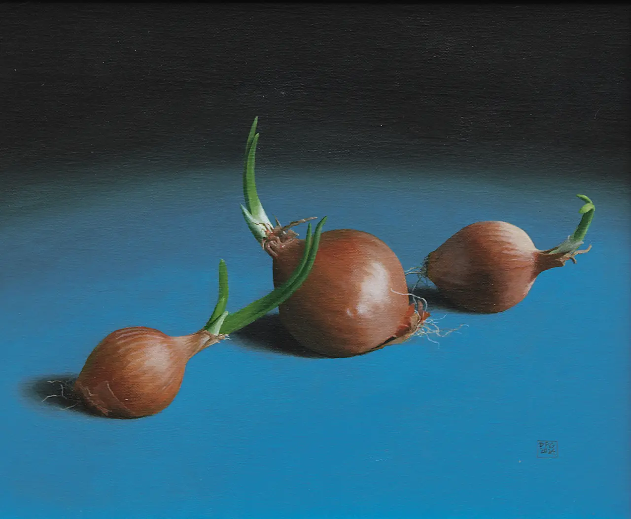 David Gleeson - onions