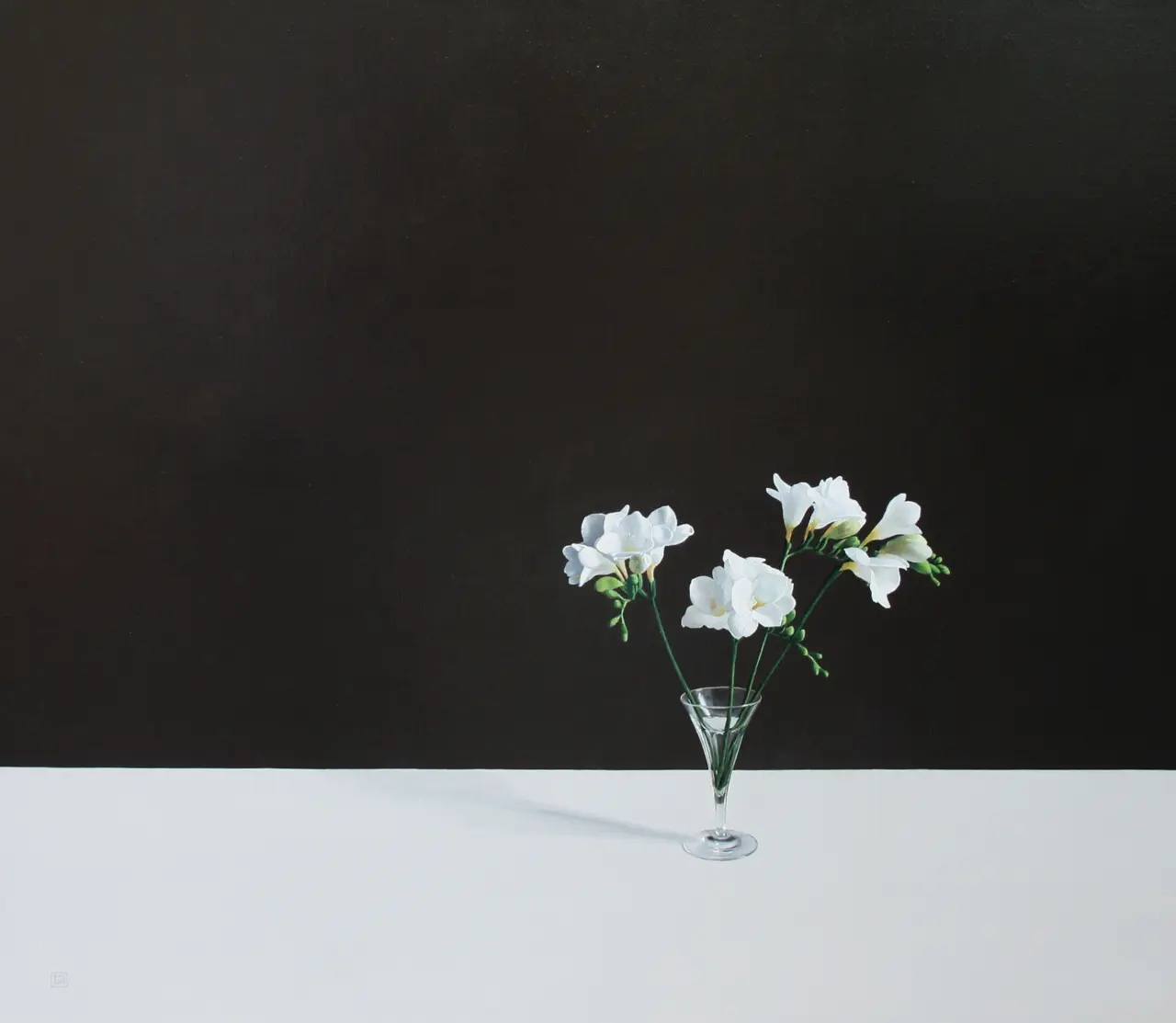 David Gleeson - freesias