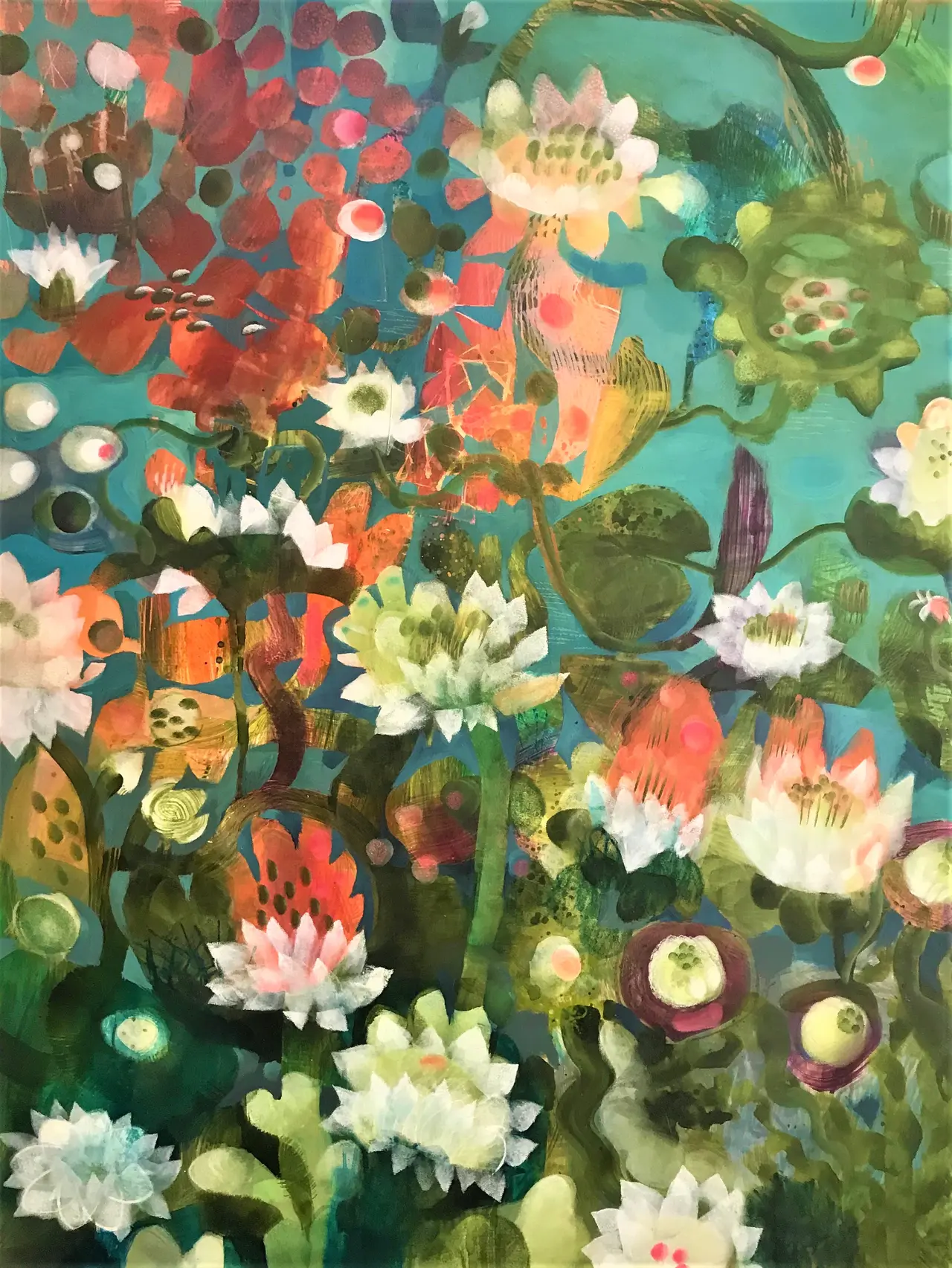 Este Macleod - ninfea