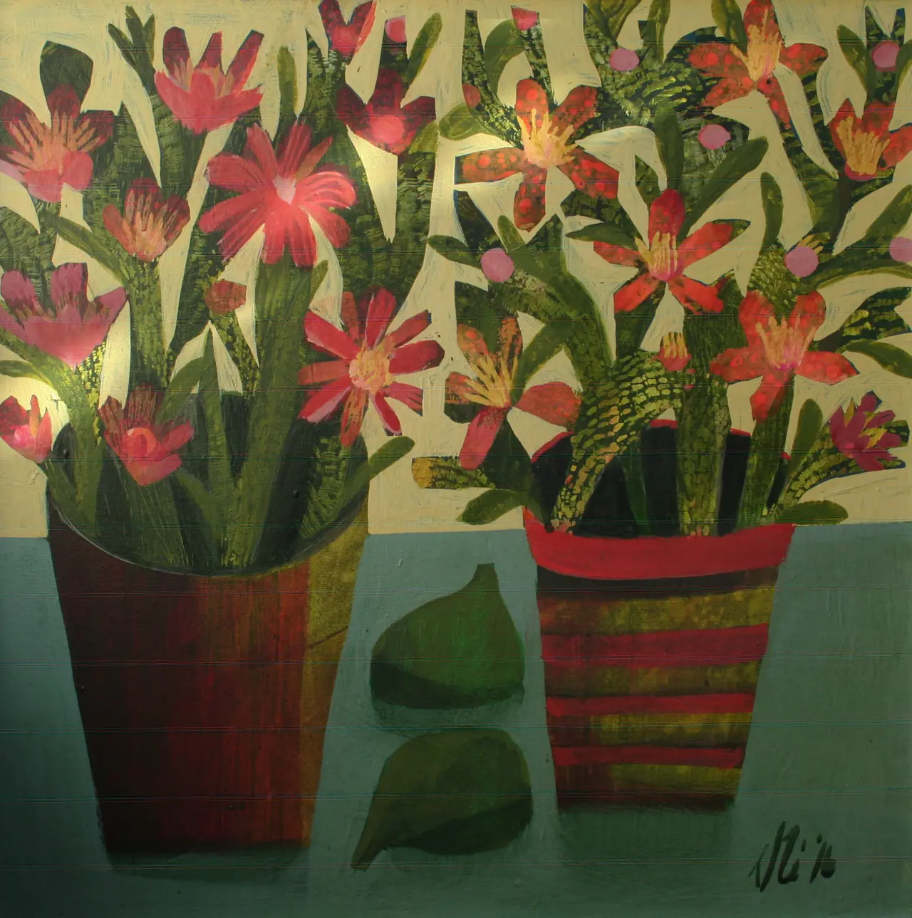 Este Macleod - succulents