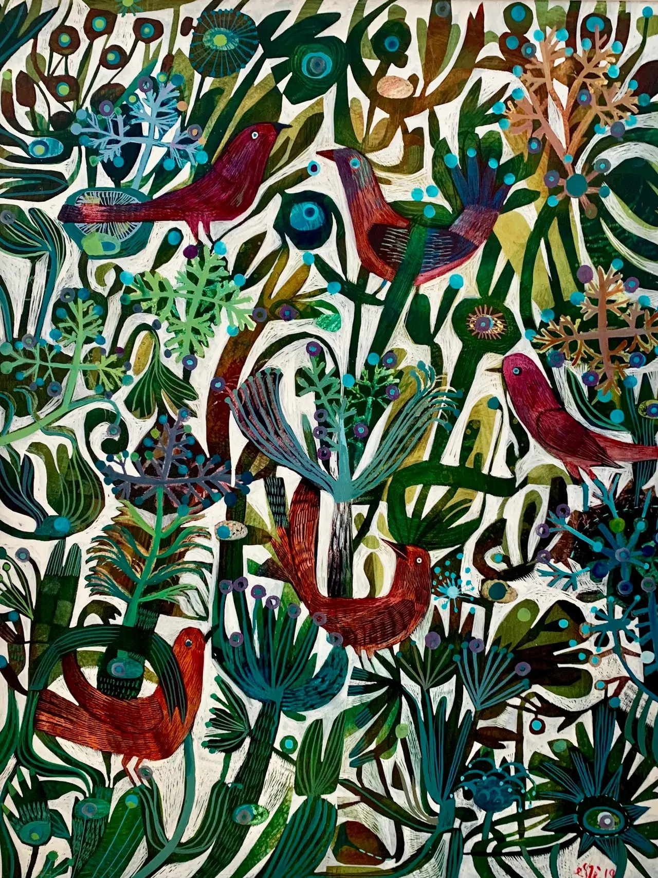 Este Macleod - anatidae