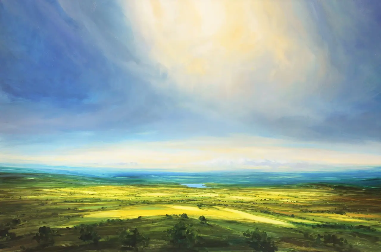 Harry Brioche - endless fields