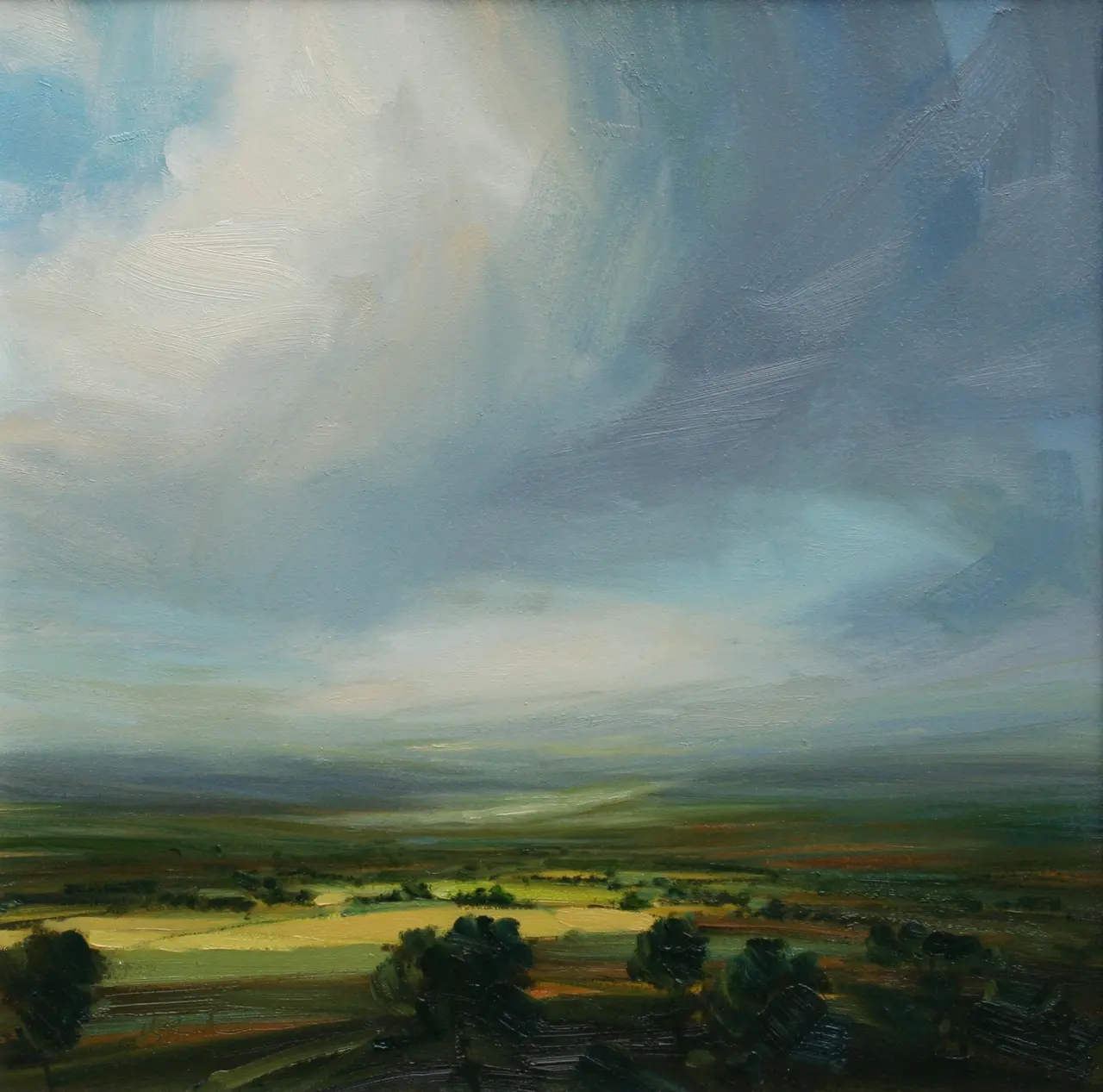 Harry Brioche - return to blue