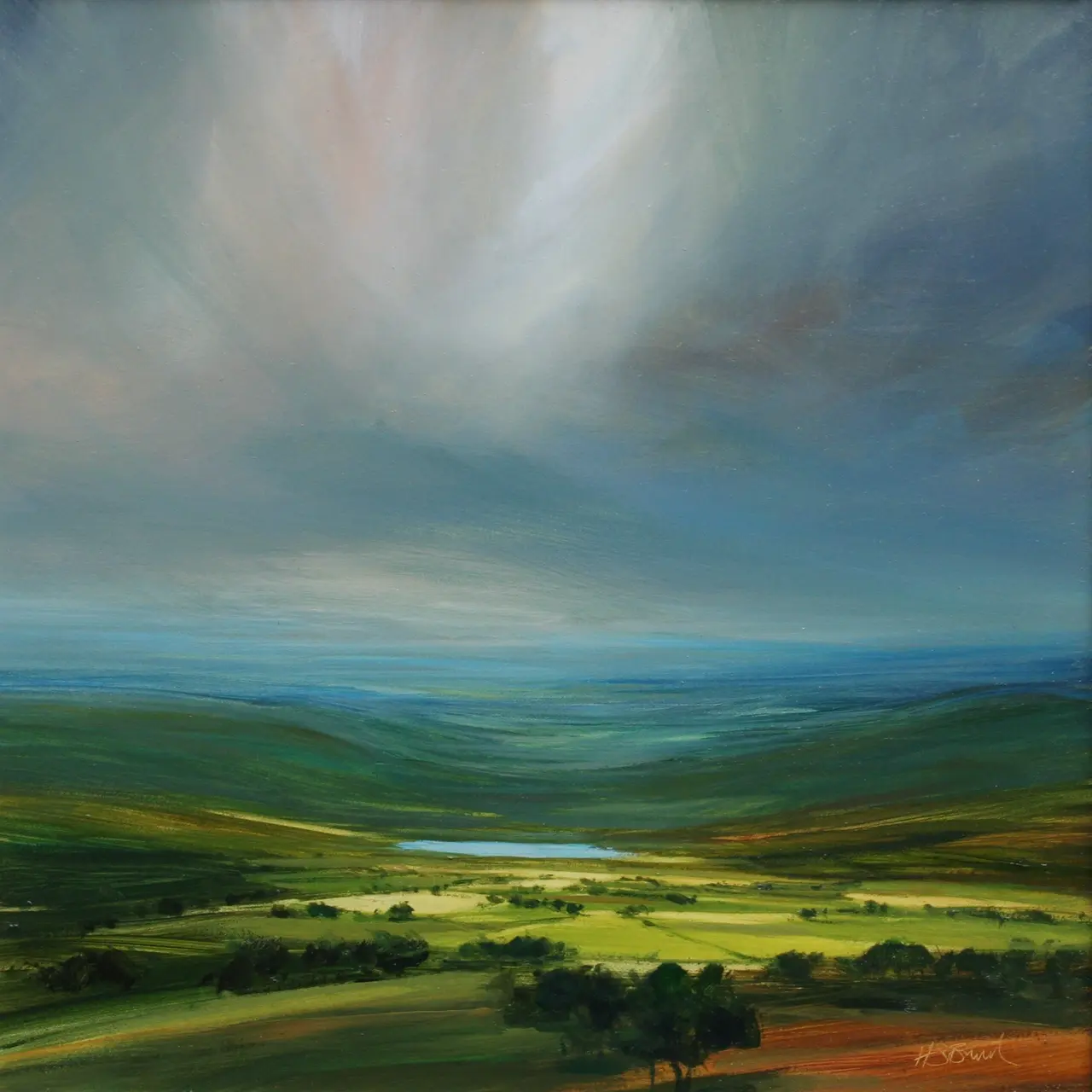 Harry Brioche - under cloud cover