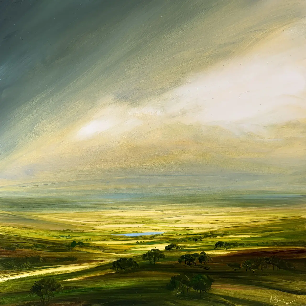 Harry Brioche - sunkissed hills