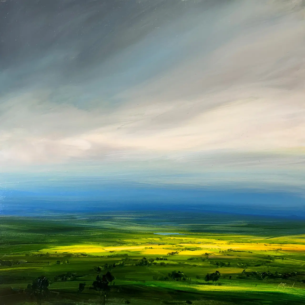 Harry Brioche - illuminated fields