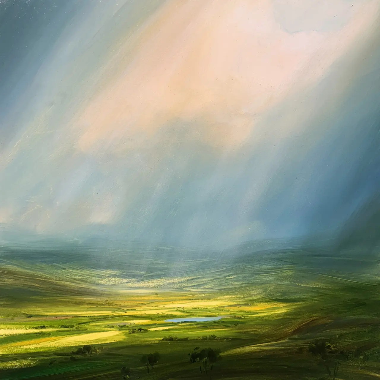 Harry Brioche - awash with sunlight