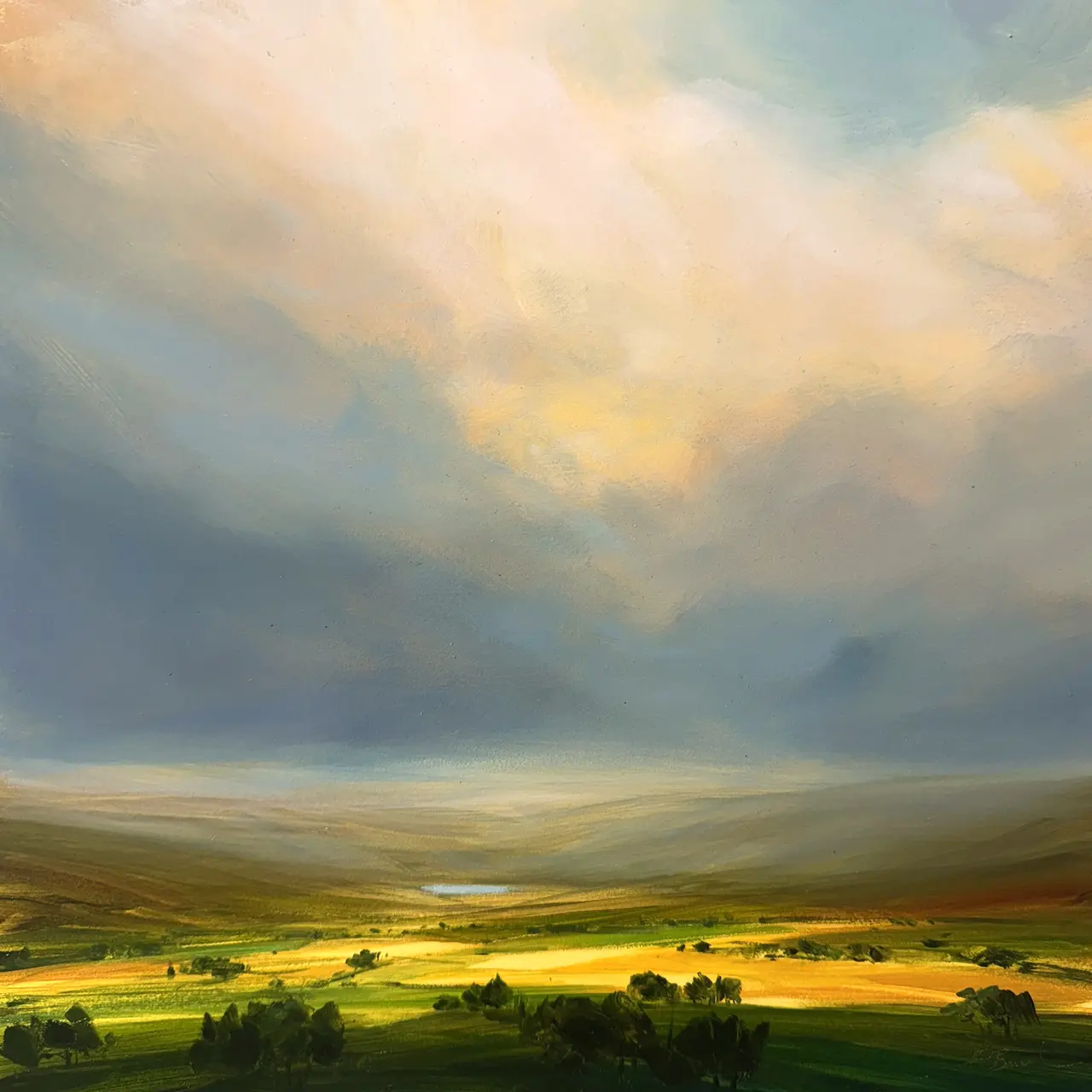 Harry Brioche - illuminated fields