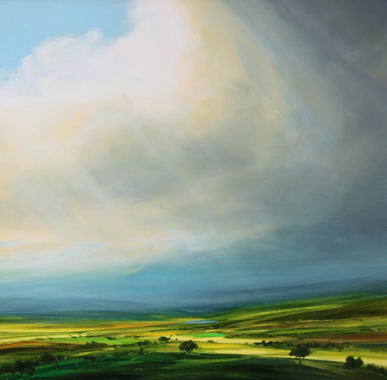 Harry Brioche - after the rain