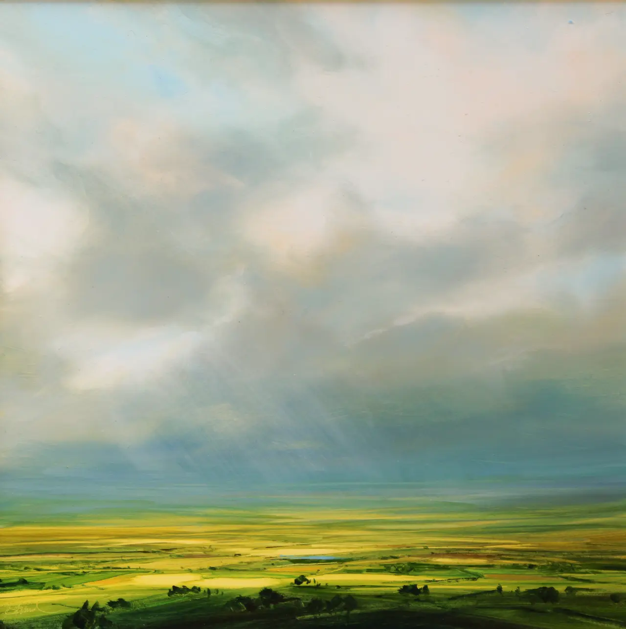 Harry Brioche - sunlit fields