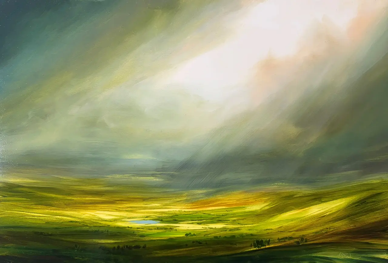 Harry Brioche - light between the showers
