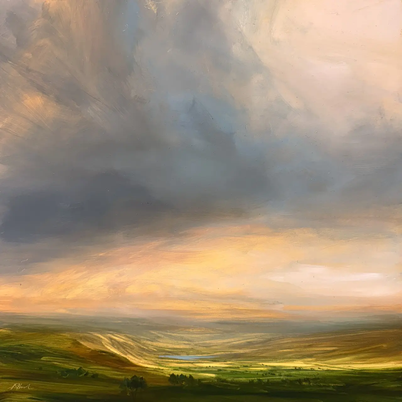 Harry Brioche - the golden hour