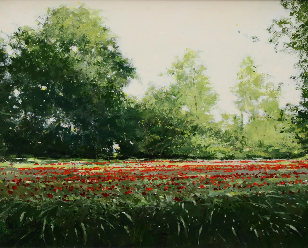Jeremy Barlow - poppy field norfolk