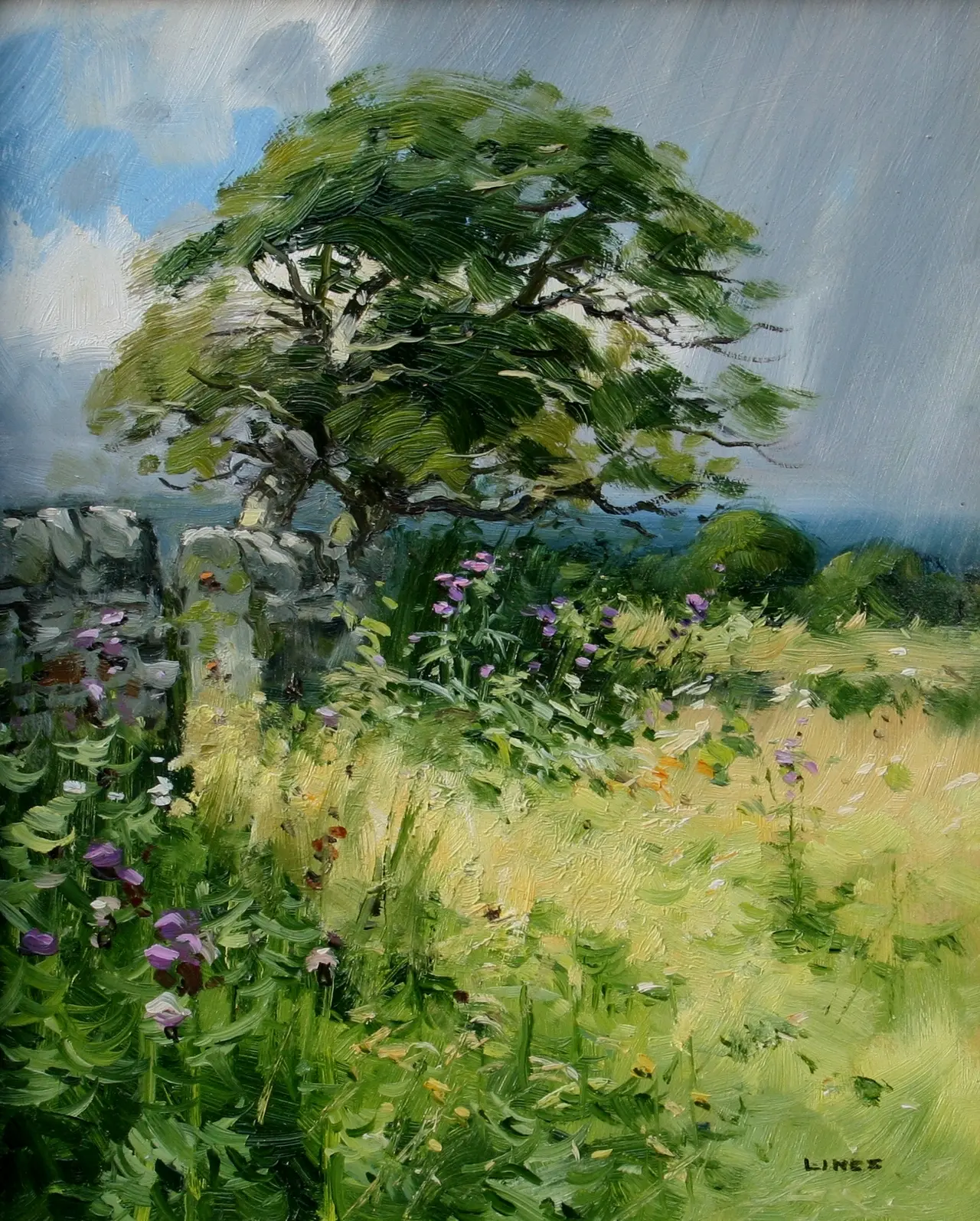 John Lines - wold thistles