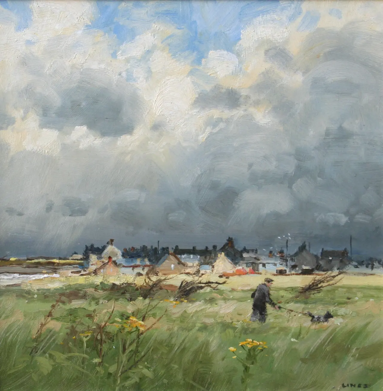 John Lines - north east walker