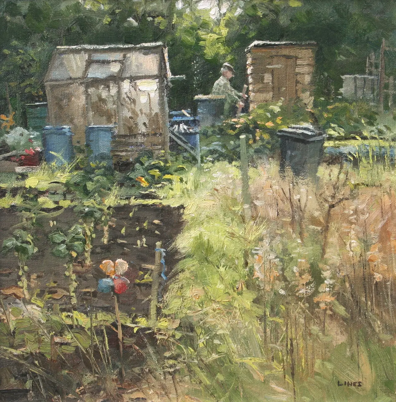 John Lines - up and down the gnats go