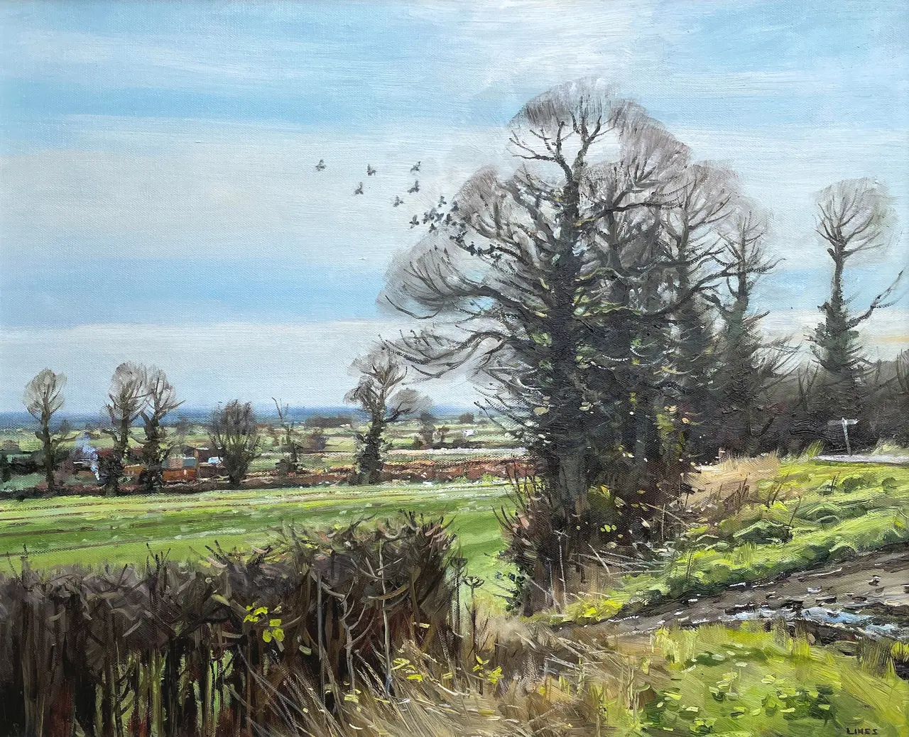 John Lines - january shine