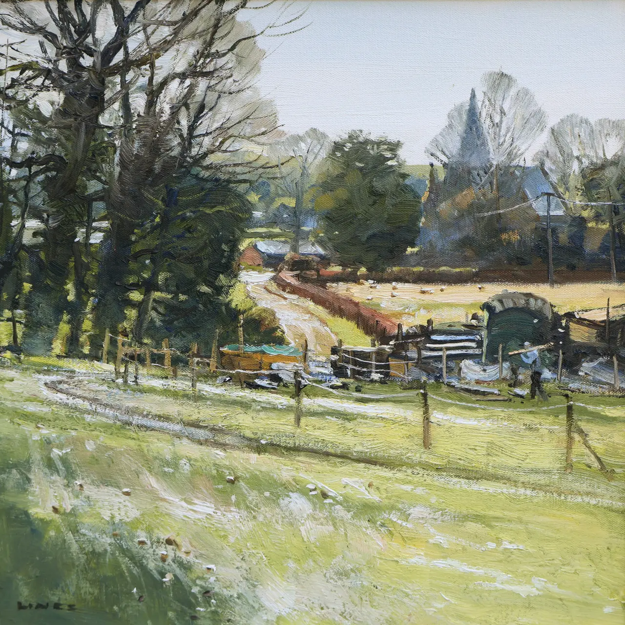 John Lines - sharp morning