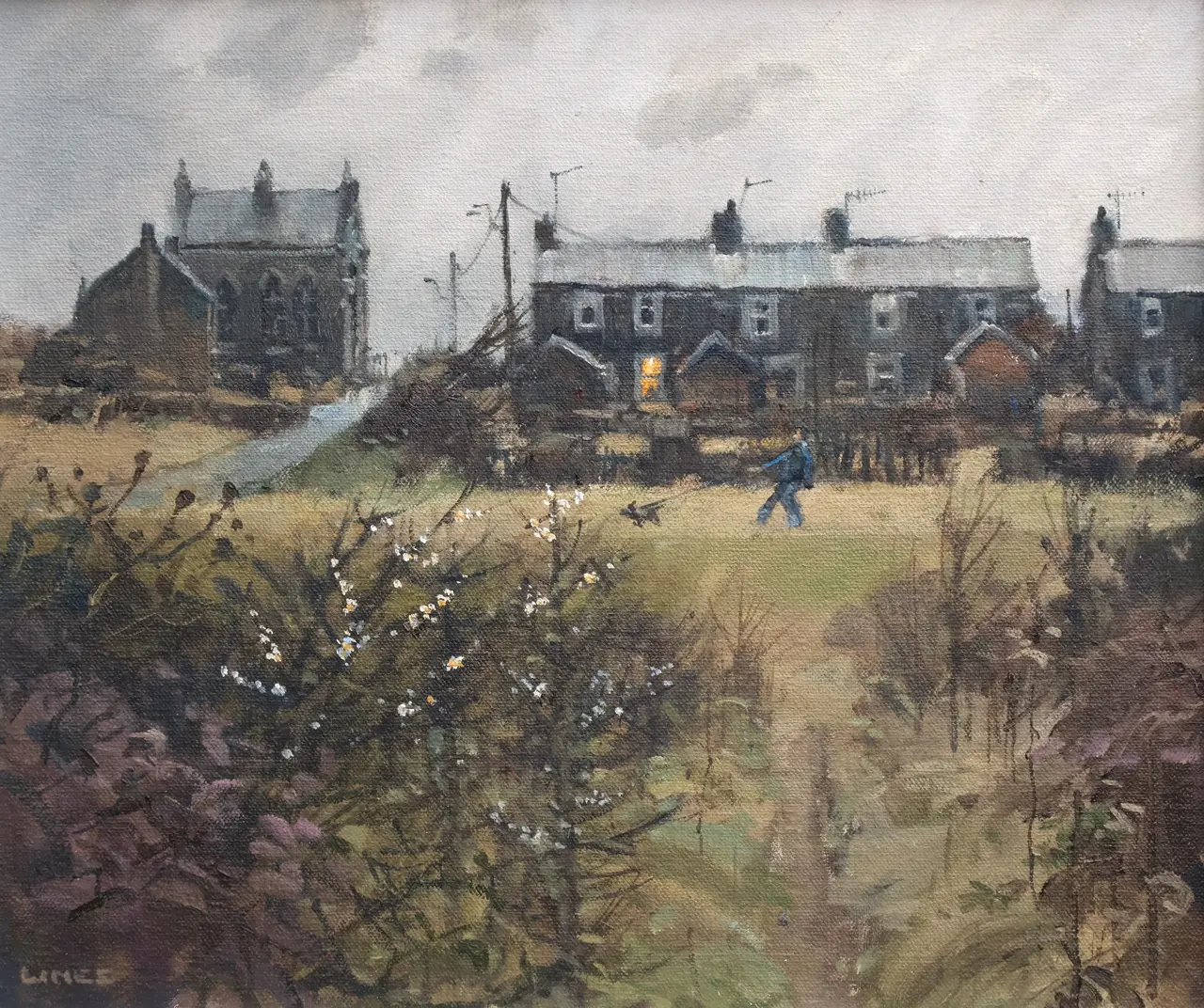John Lines - blackthorn walk