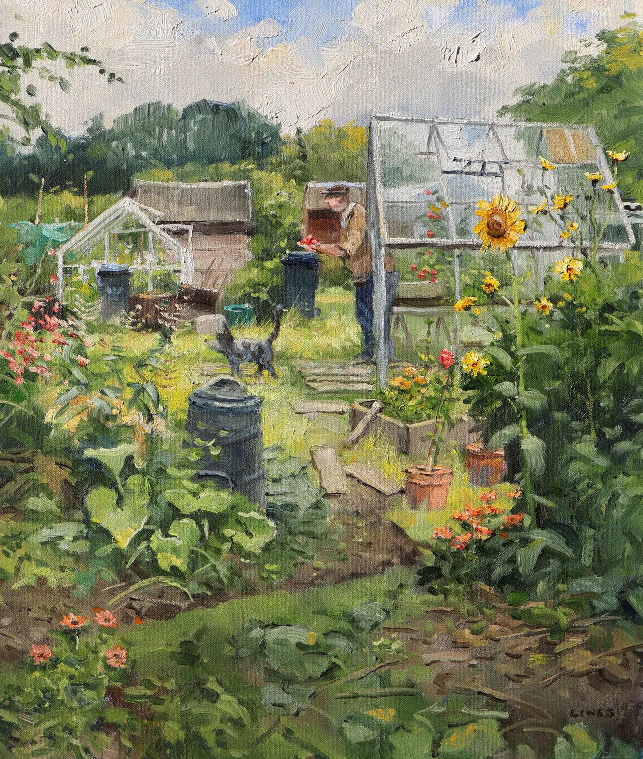 John Lines - greenhouse harvest