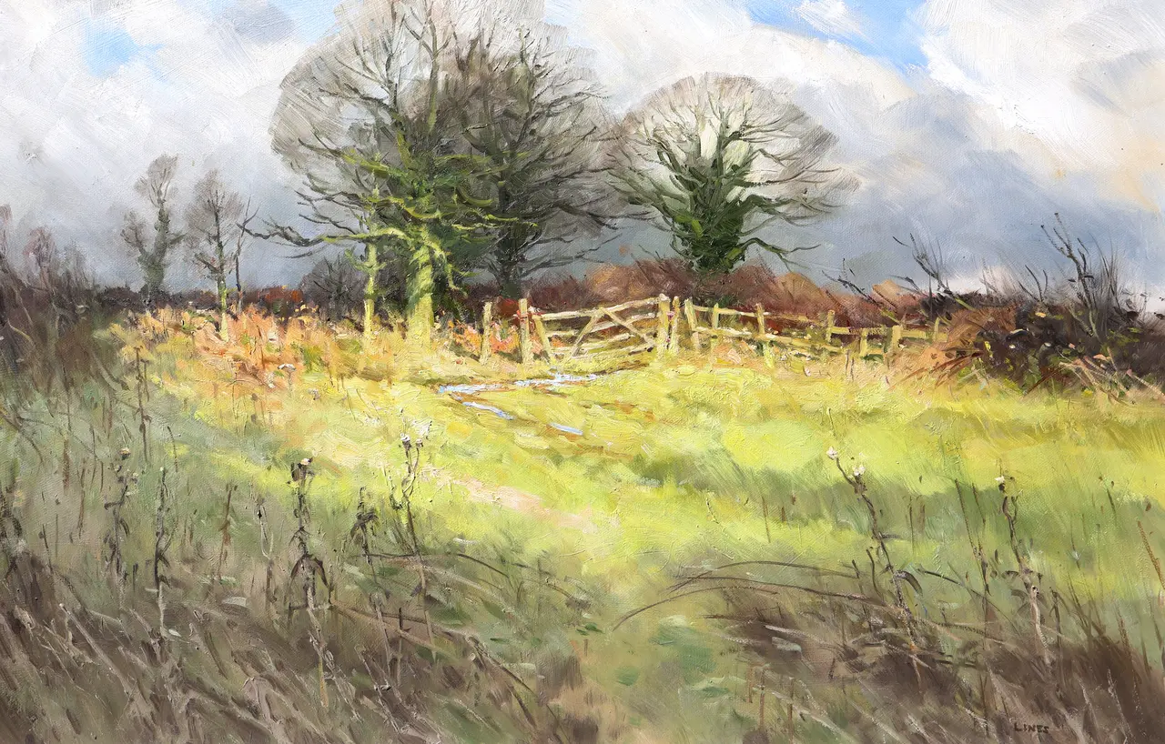 John Lines - january cloud break