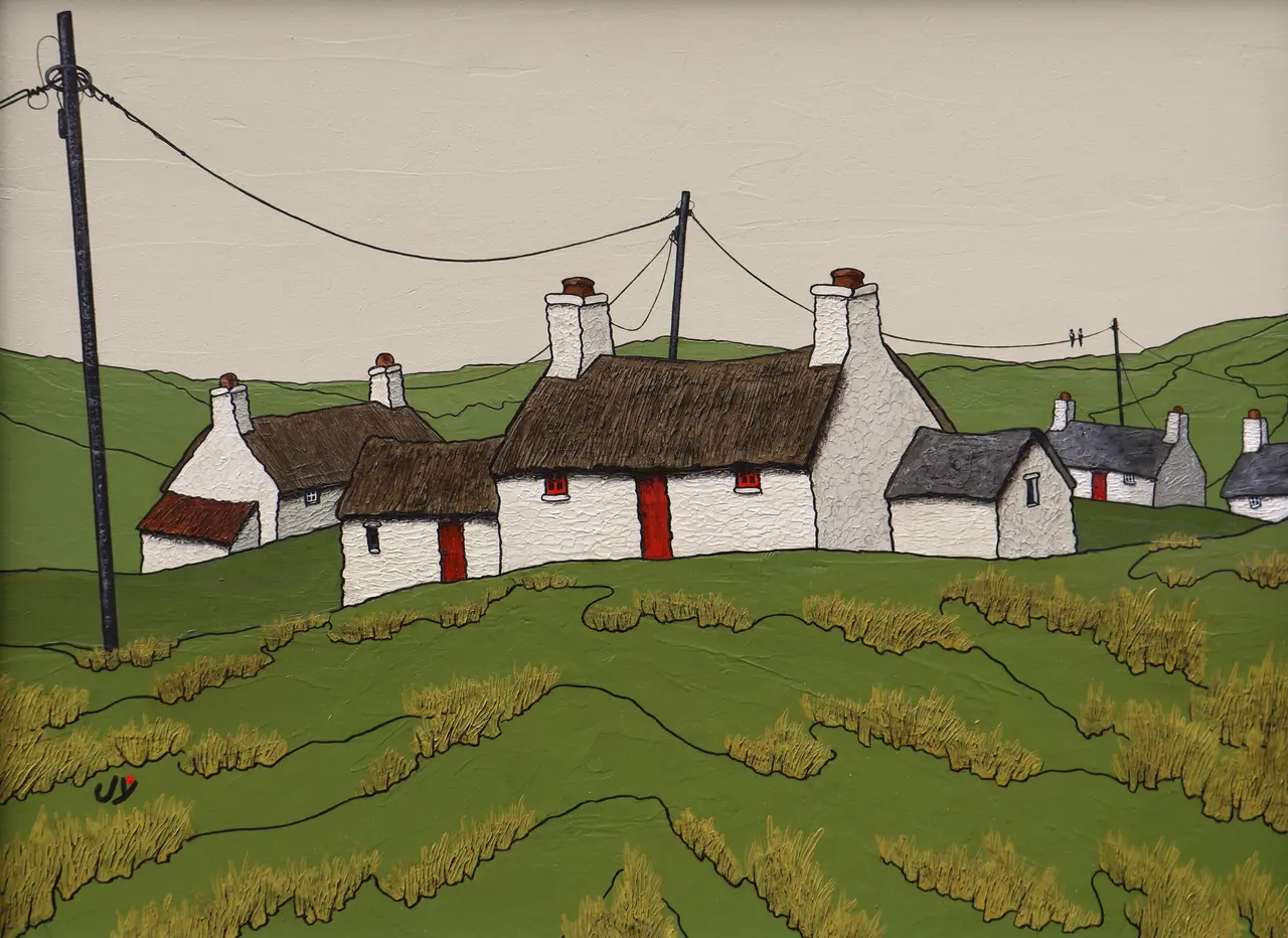 Joy Saunders - bryn gwyrdd