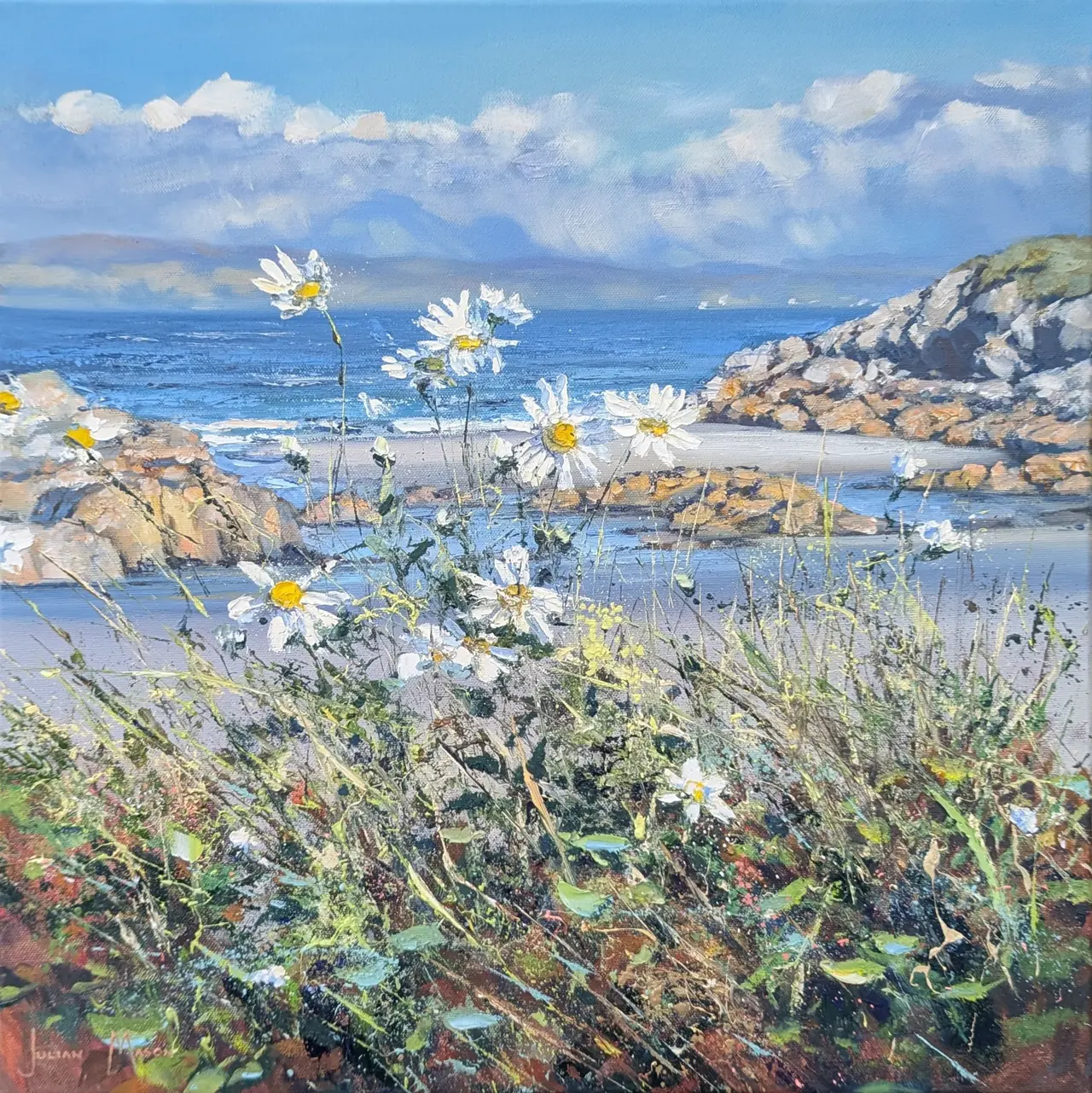 Julian Mason - daisies of camusdarach, morar