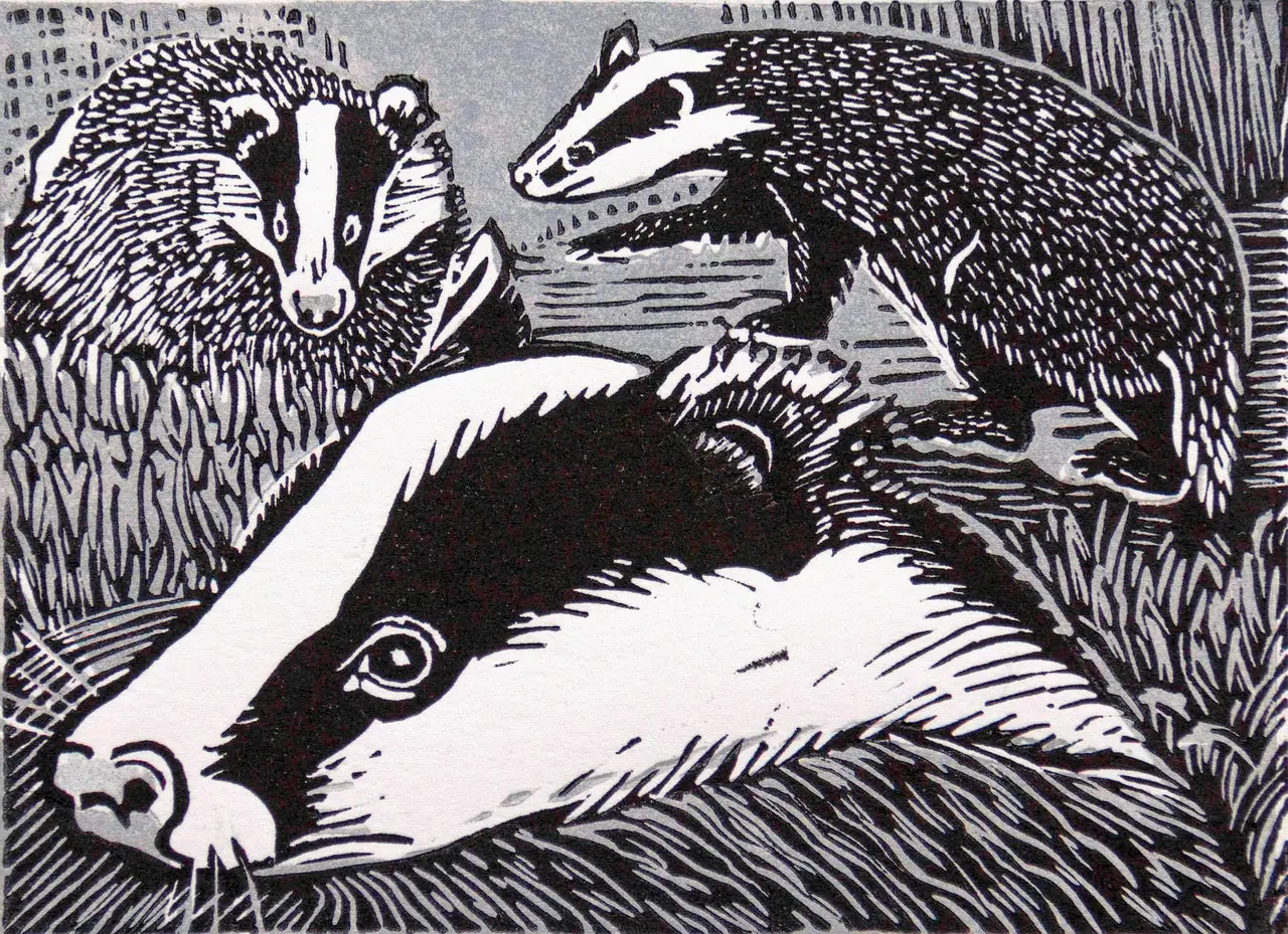 Linda Richardson - badgers