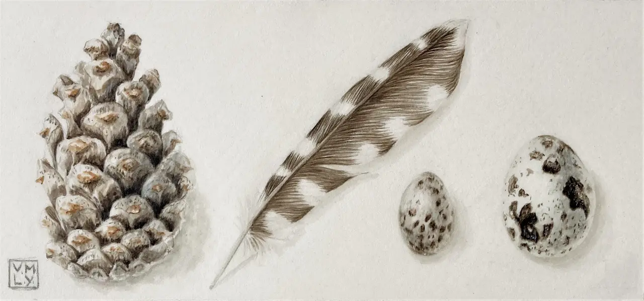 Louise Young - gift of the woods