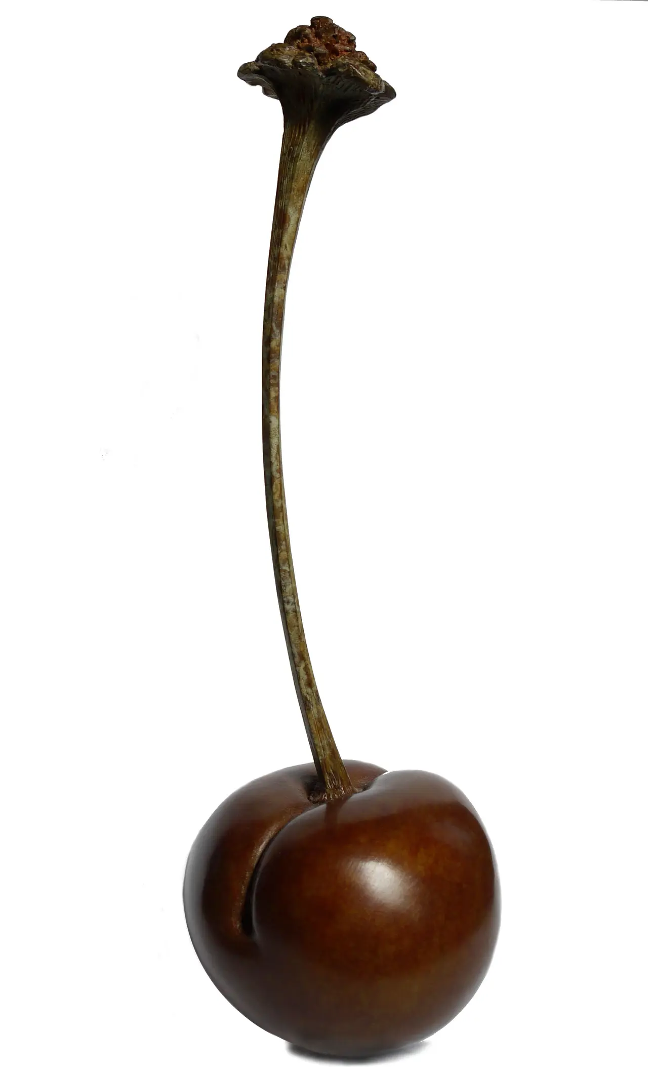 Mark Hall - baring fruit (edition 7/34)