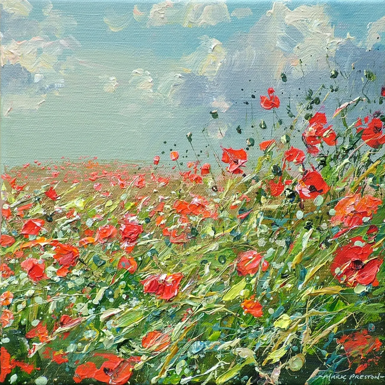 Mark Preston - sunlit poppies