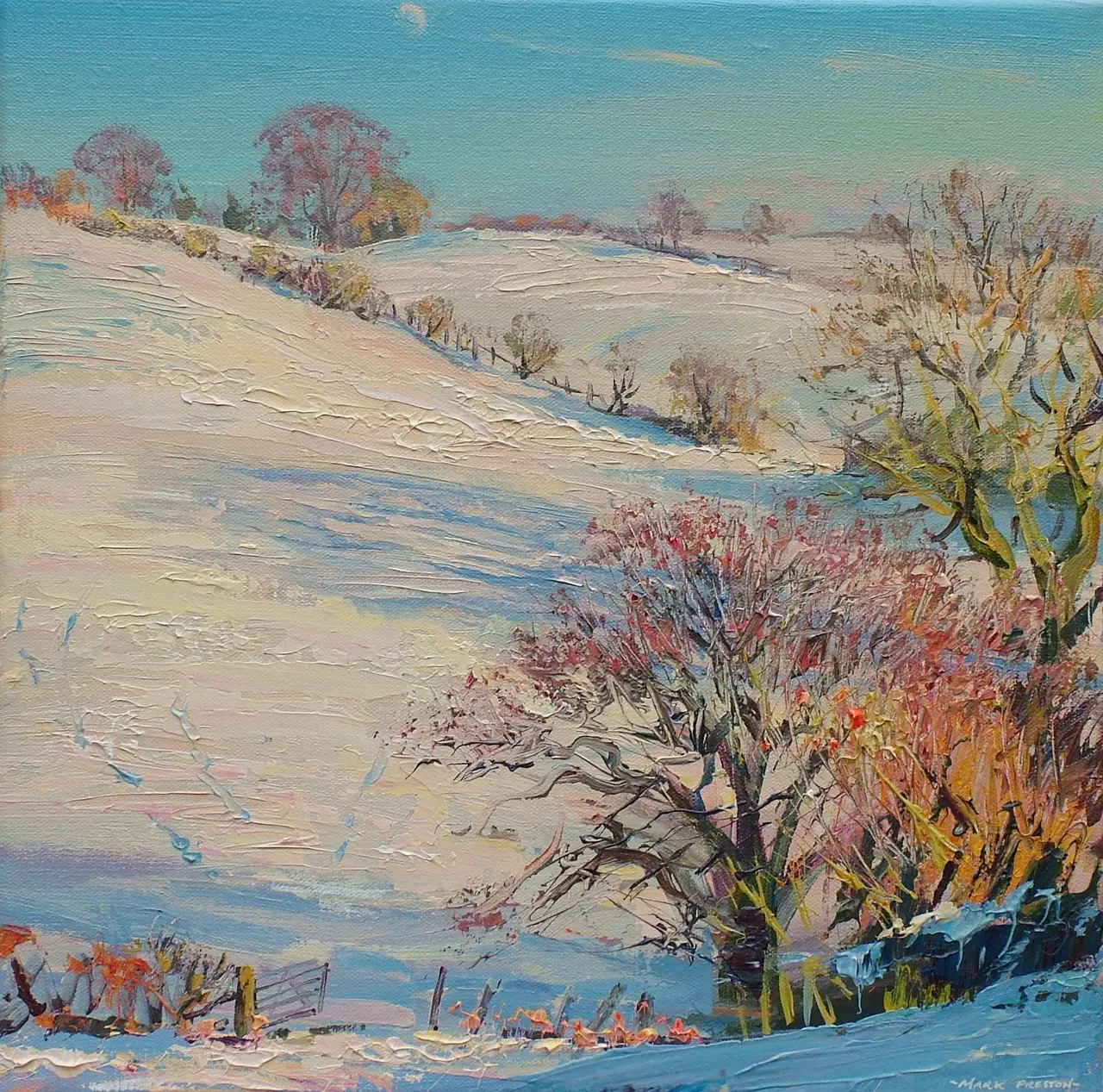 Mark Preston - clear winter's day, turnditch