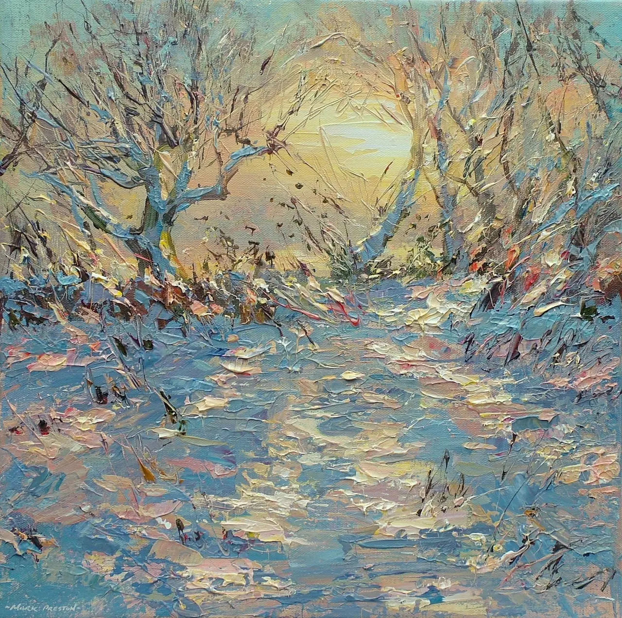 Mark Preston - winter sun, brailsford