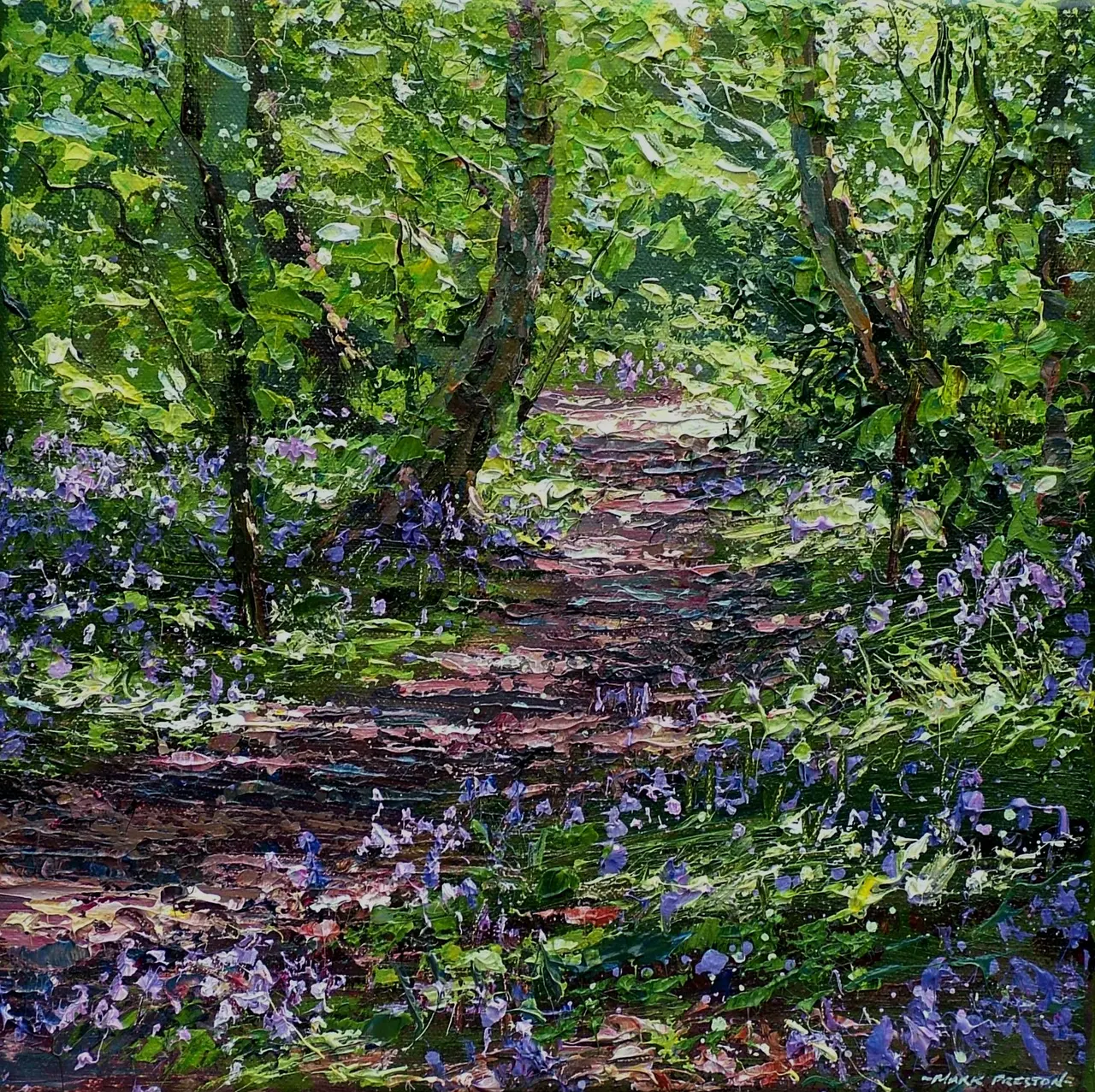 Mark Preston - sunlit bluebells, allestree woods