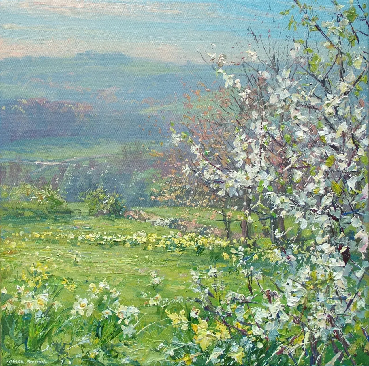 Mark Preston - spring morning, ashleyhay