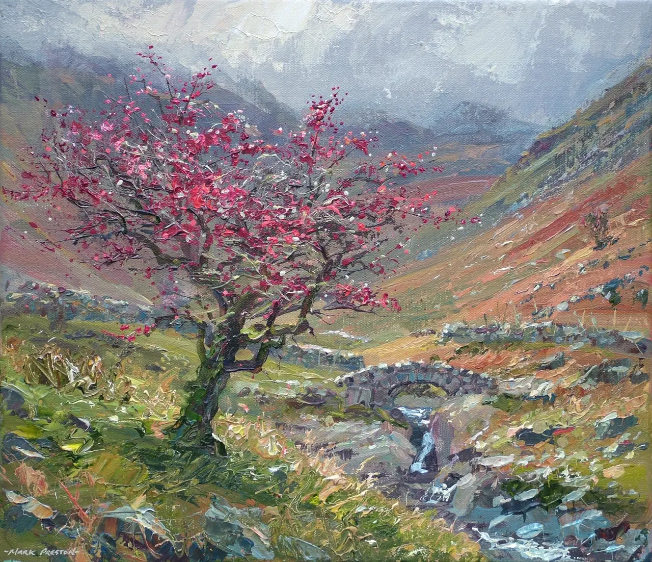 Mark Preston - autumn hawthorn, stockley bridge