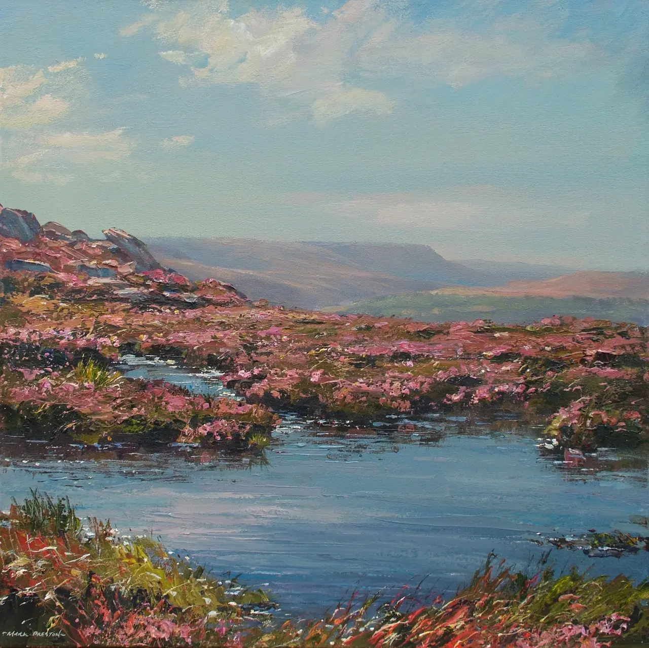 Mark Preston - moorland pools, derwent edge