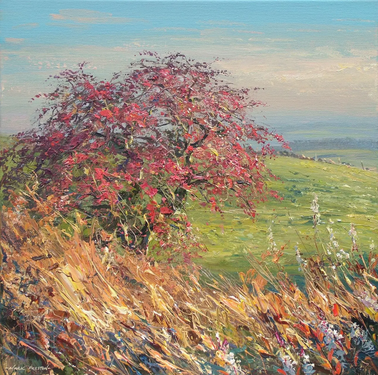 Mark Preston - autumn hawthorn, alport height