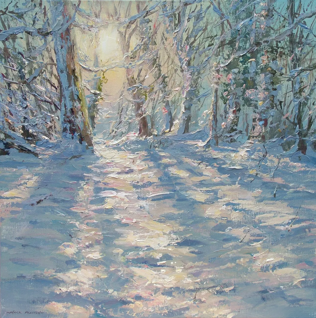 Mark Preston - snow shadows, markeaton park