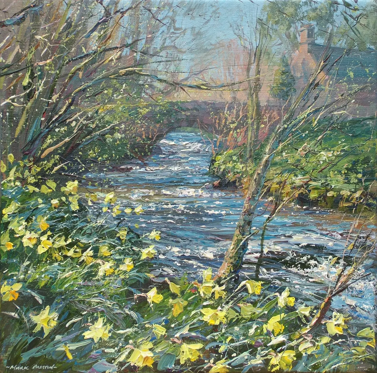 Mark Preston - daffodils, alport village
