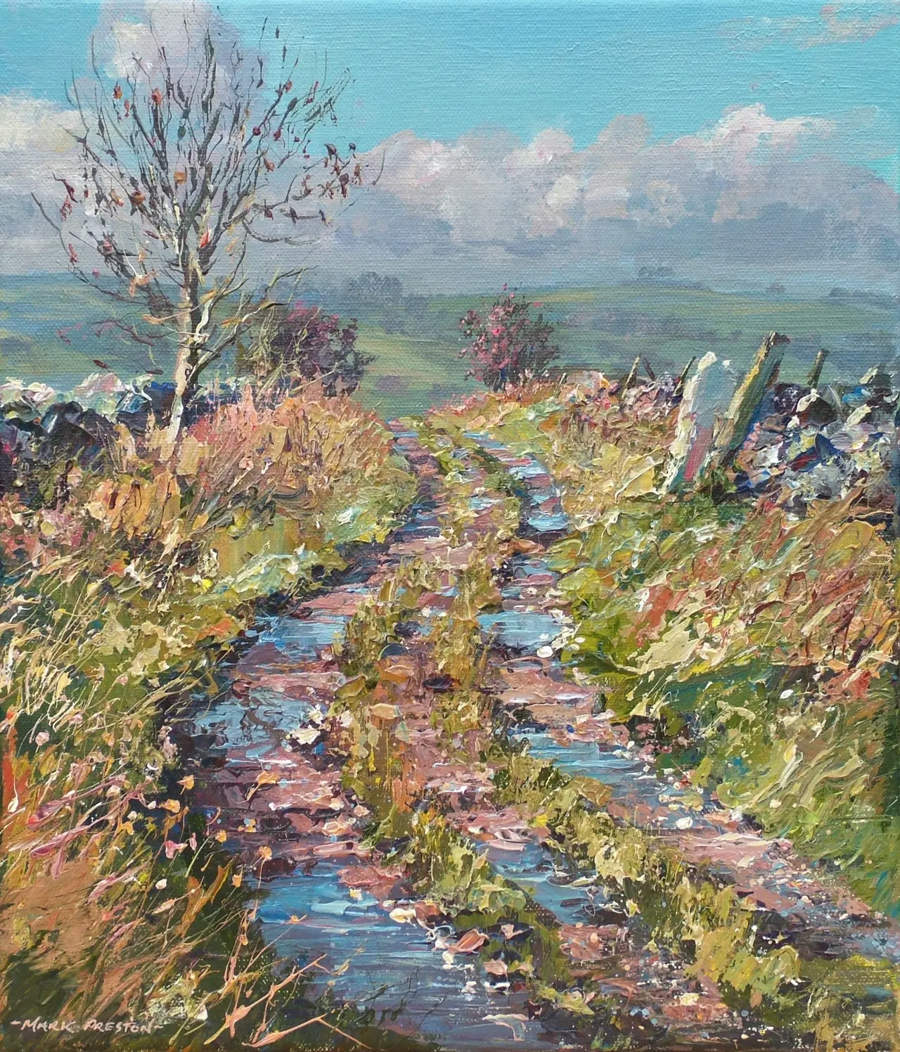 Mark Preston - puddled lane, ible