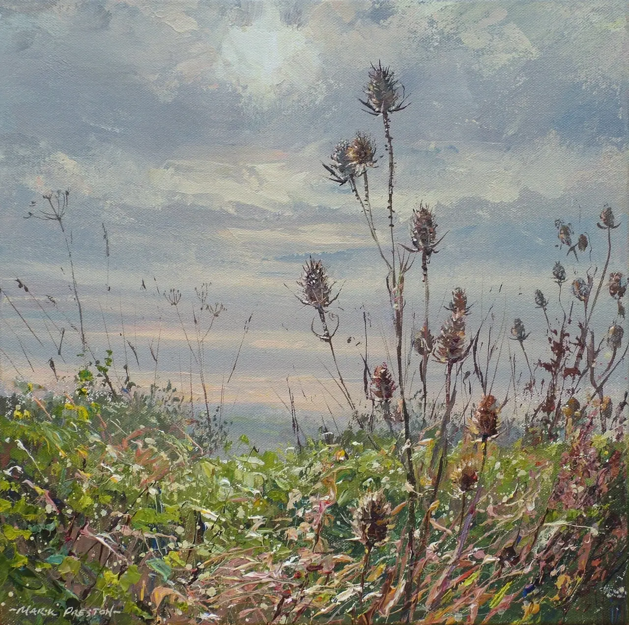Mark Preston - sunlit teasel