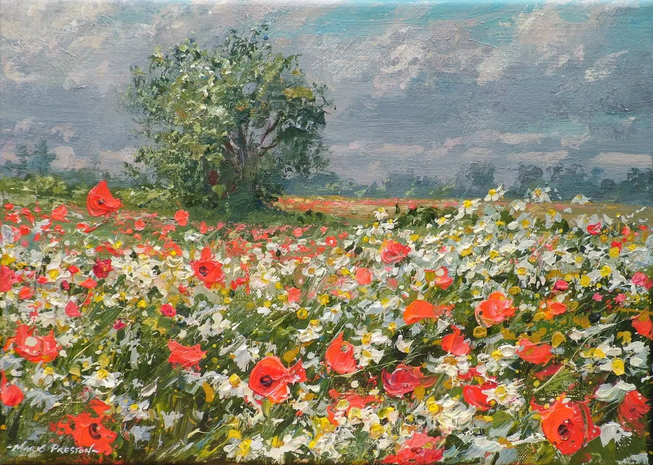 Mark Preston - poppies and mayweed, ednaston