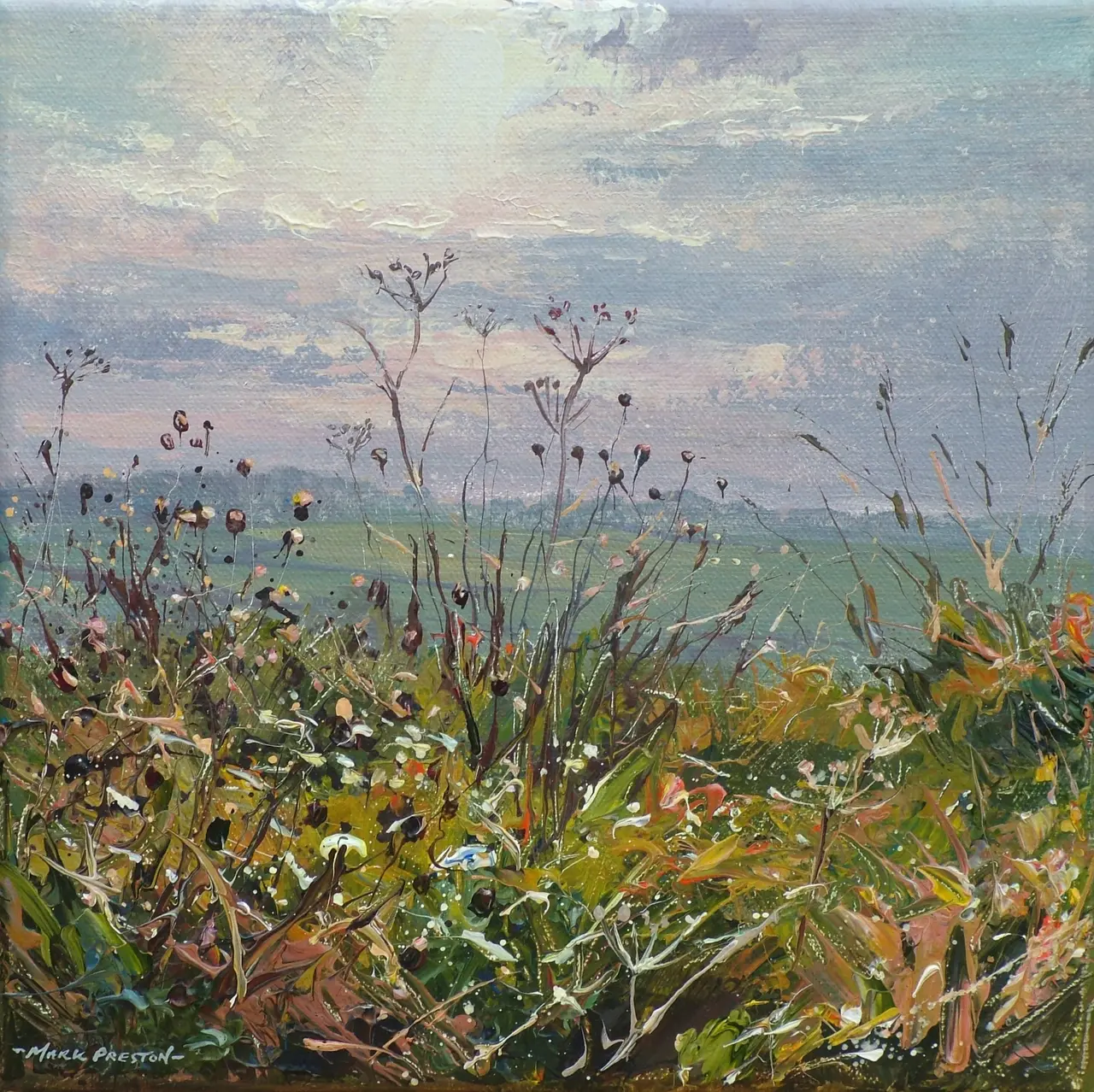 Mark Preston - bonsall seedheads