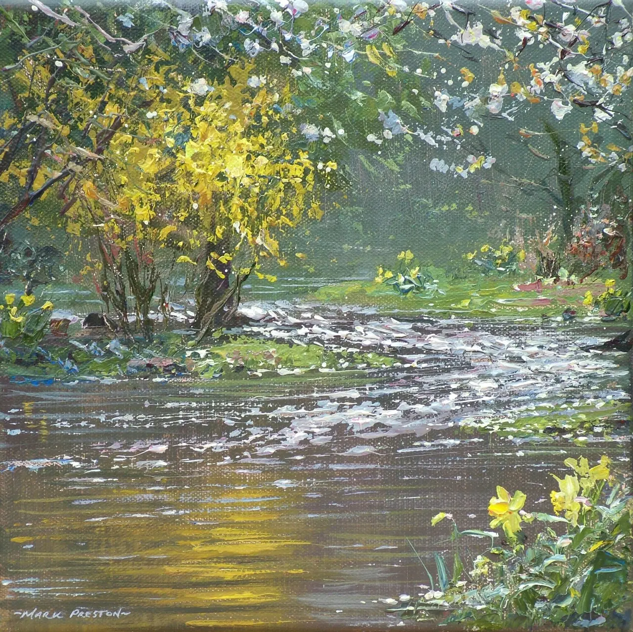 Mark Preston - springtime, river lathkill