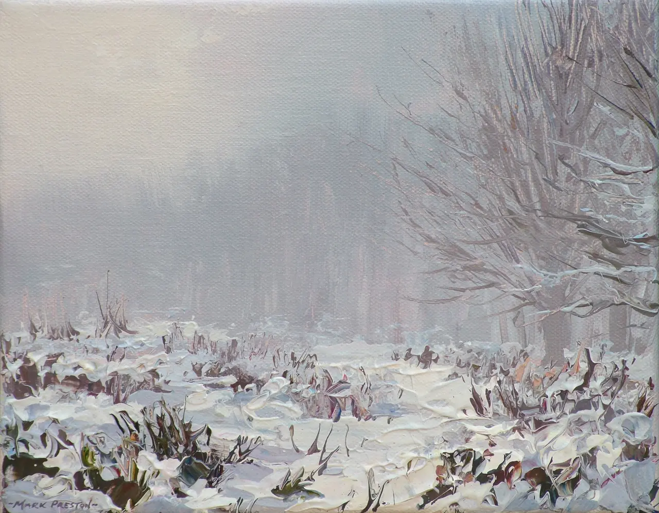 Mark Preston - mist and snow, alsop moor